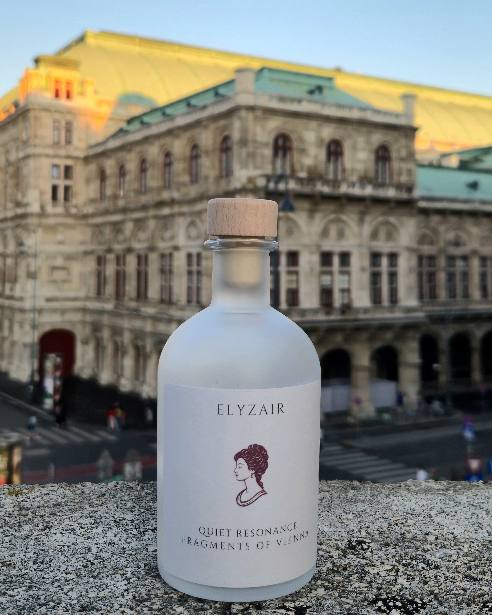 Elyzair Fragments of Vienna bottle overlooking the Vienna State Opera during the golden hour